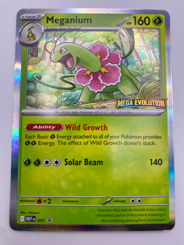 Meganium Promo NM