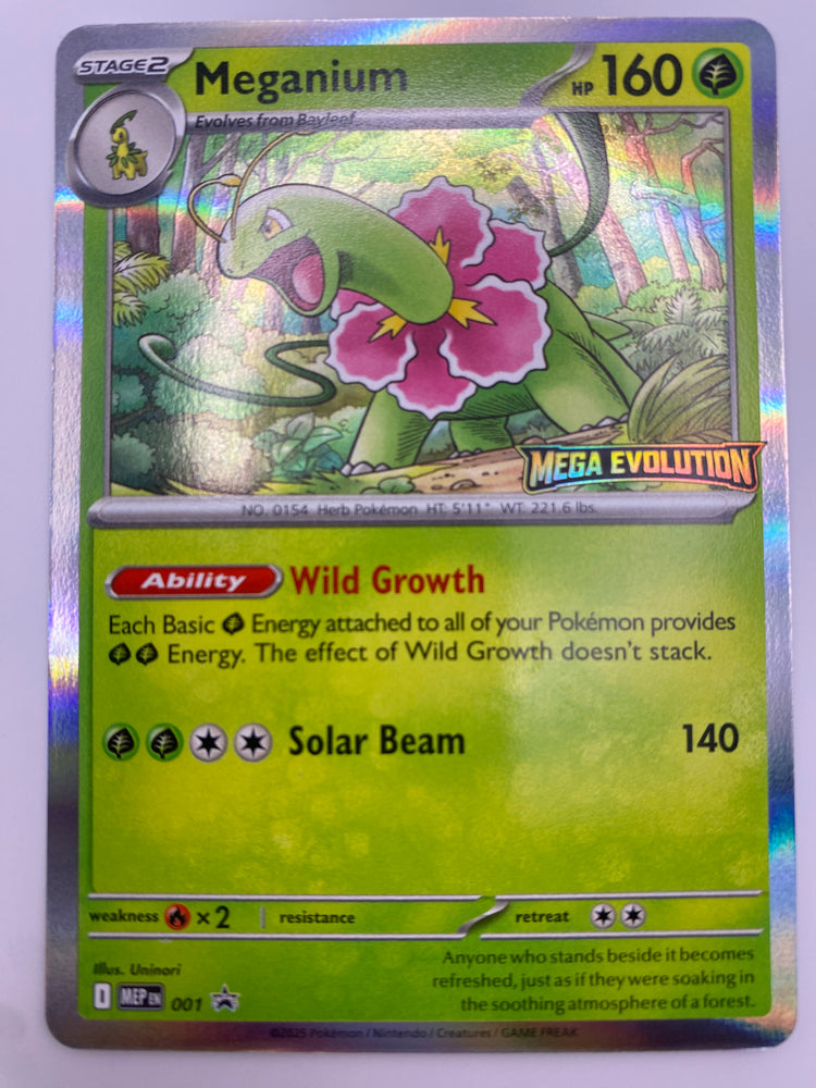 Meganium Promo NM