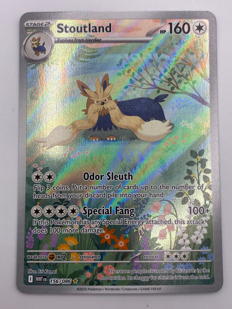 Stoutland Illustration Rare White Flare NM