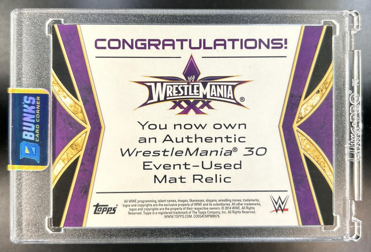 Triple H WWE Road to Wrestlemania Matt Relic