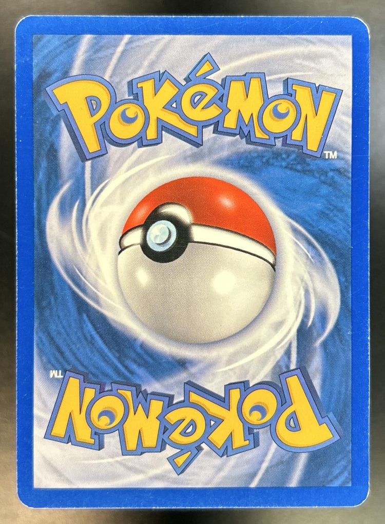 Squirtle back image