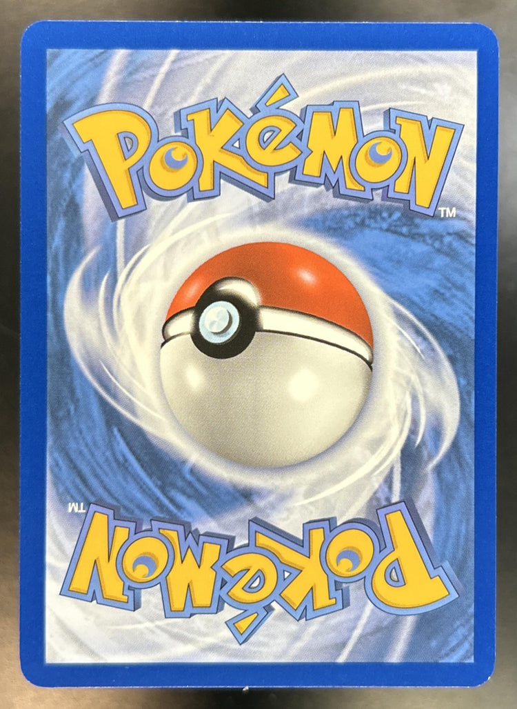 Krokorok back image