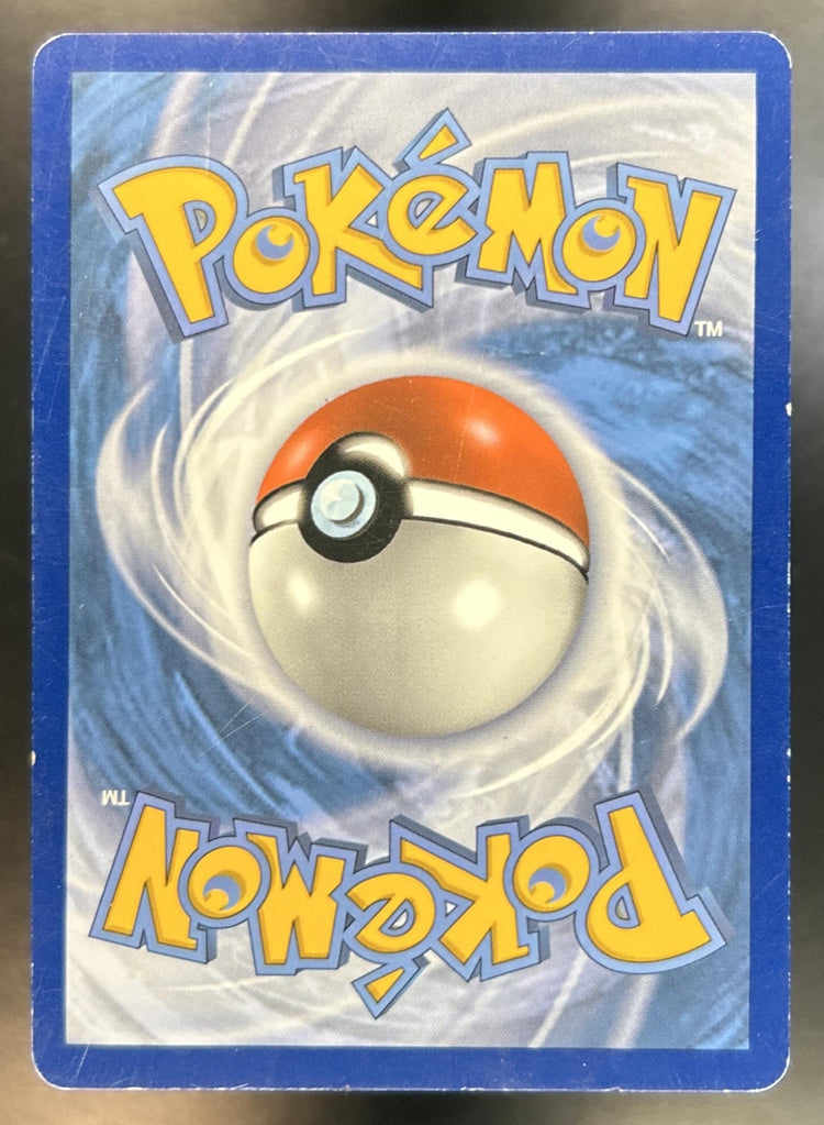 Raichu & Alolan Raichu-GX back image