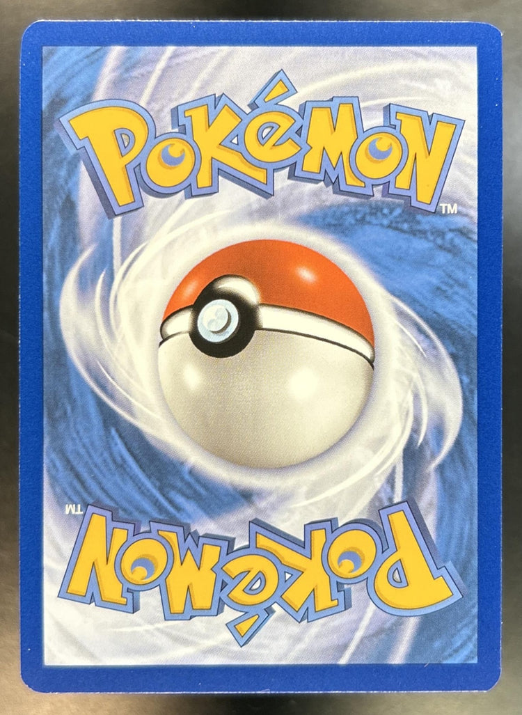 Omanyte back image