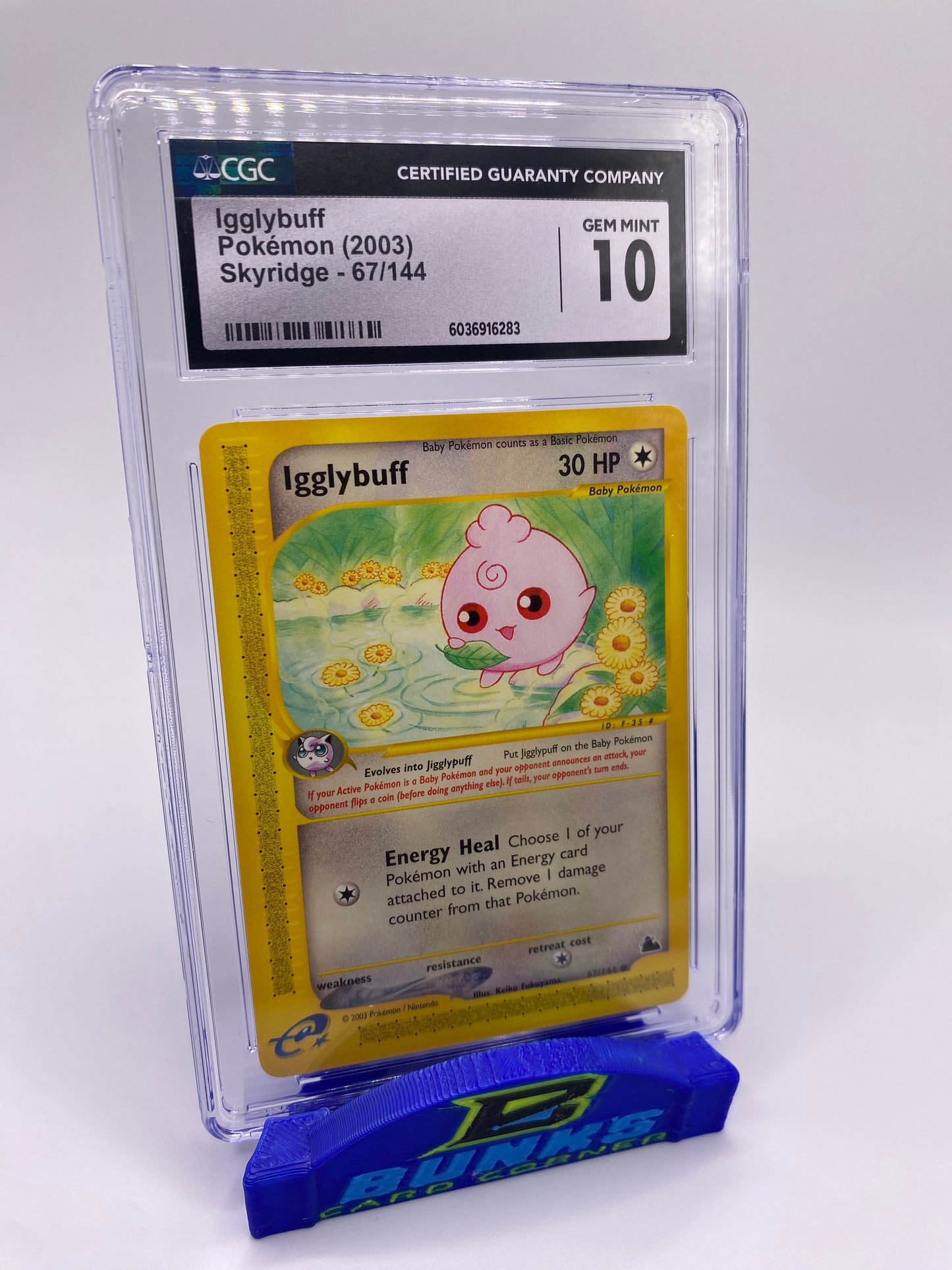 CGC 10 Igglybuff Skyridge 2003 E-Reader