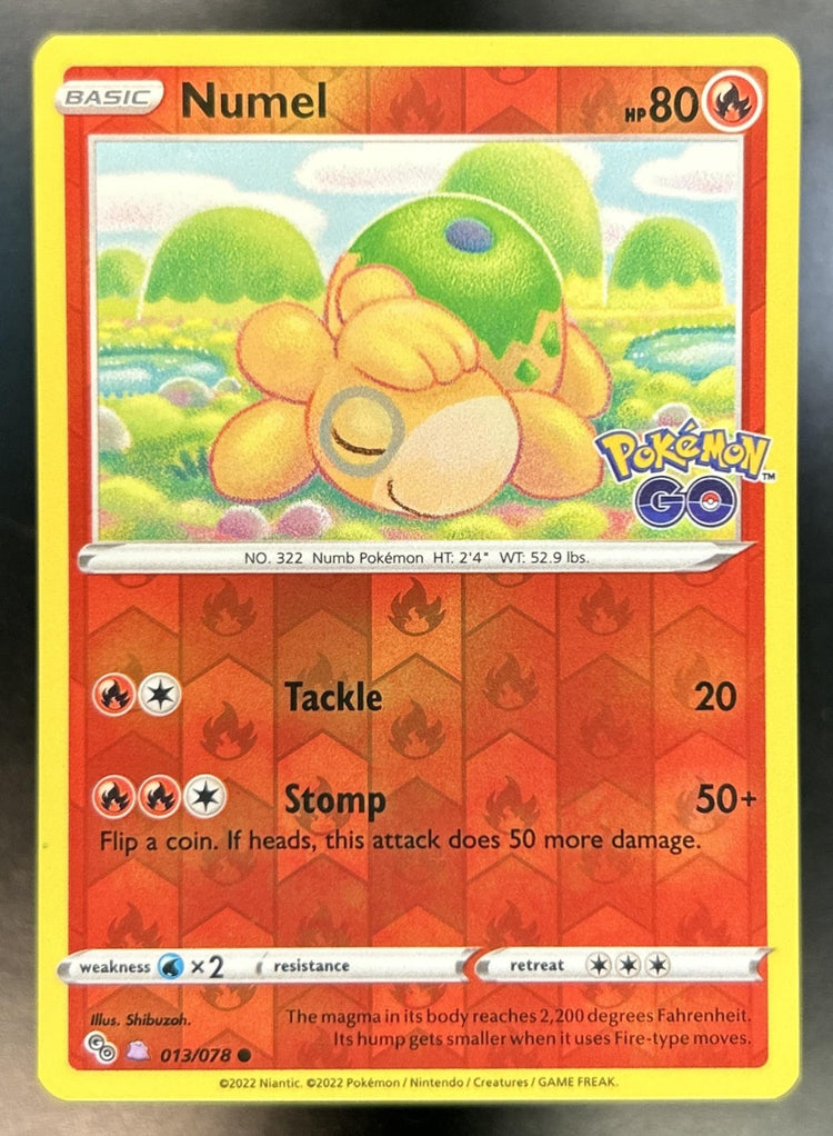 Numel front image
