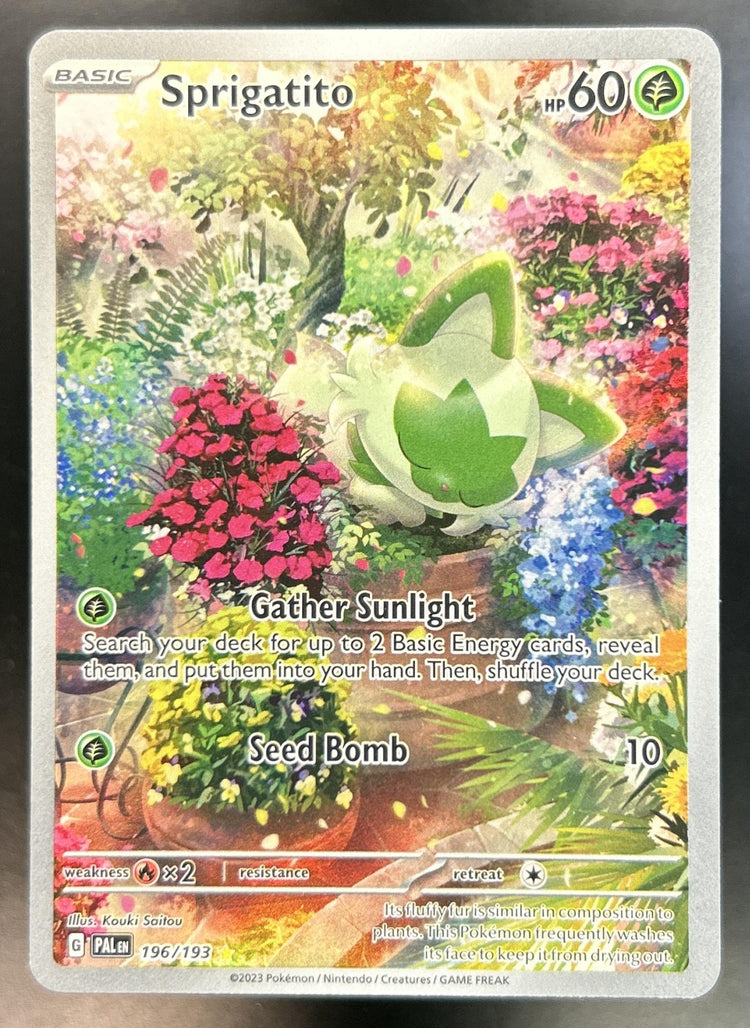Sprigatito front image
