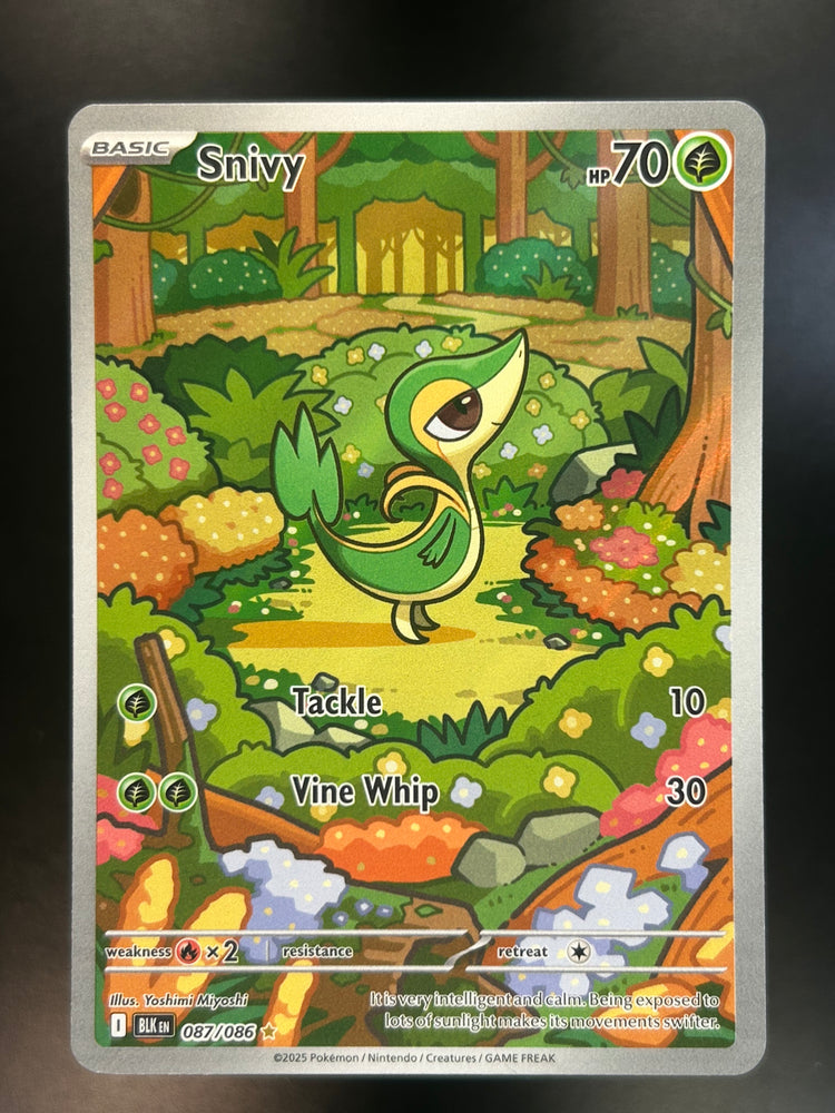 Snivy Illustration Rare Black Bolt NM