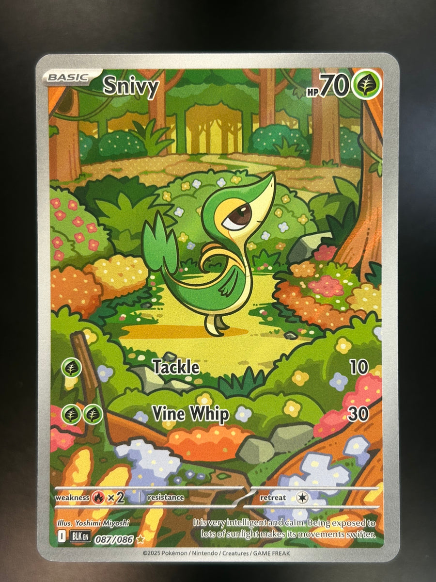 Snivy Illustration Rare Black Bolt NM