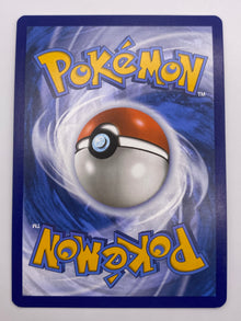 Greninja ex Promo LP