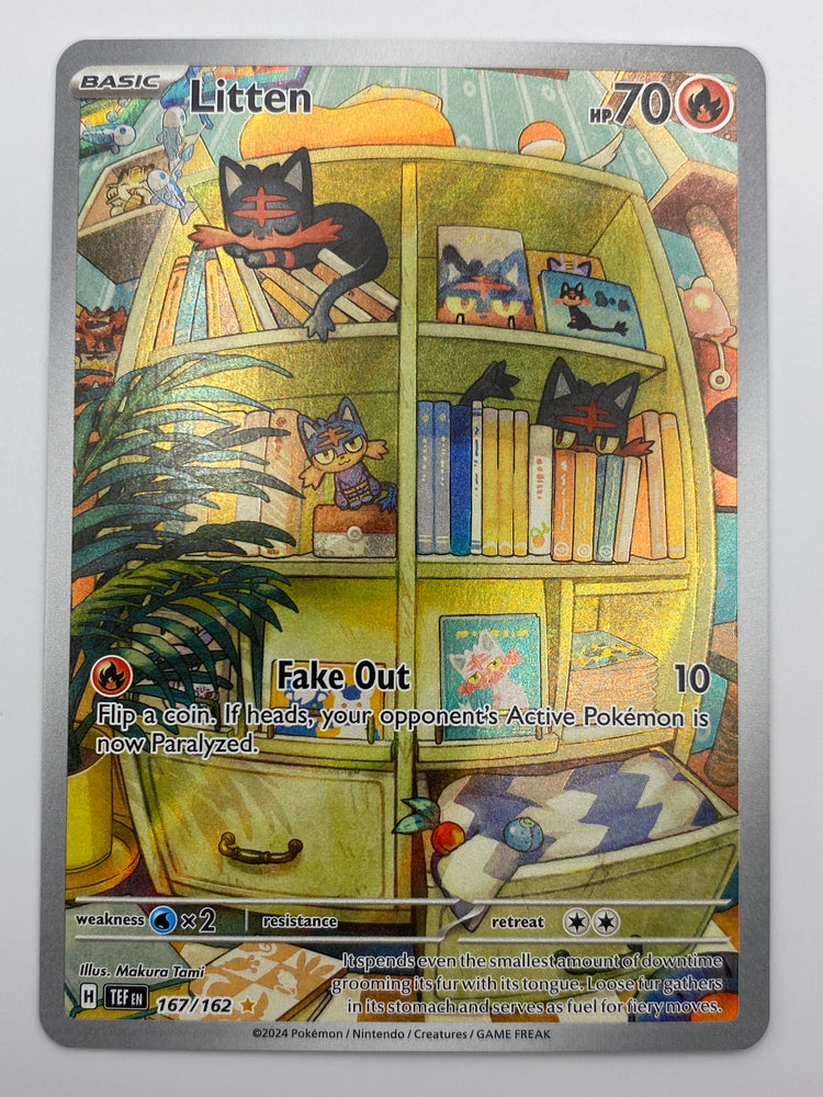Litten Illustration Temporal Forces NM