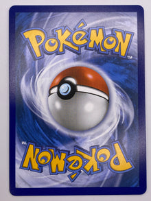 Lillie's Determination SIR Mega Evolutions NM