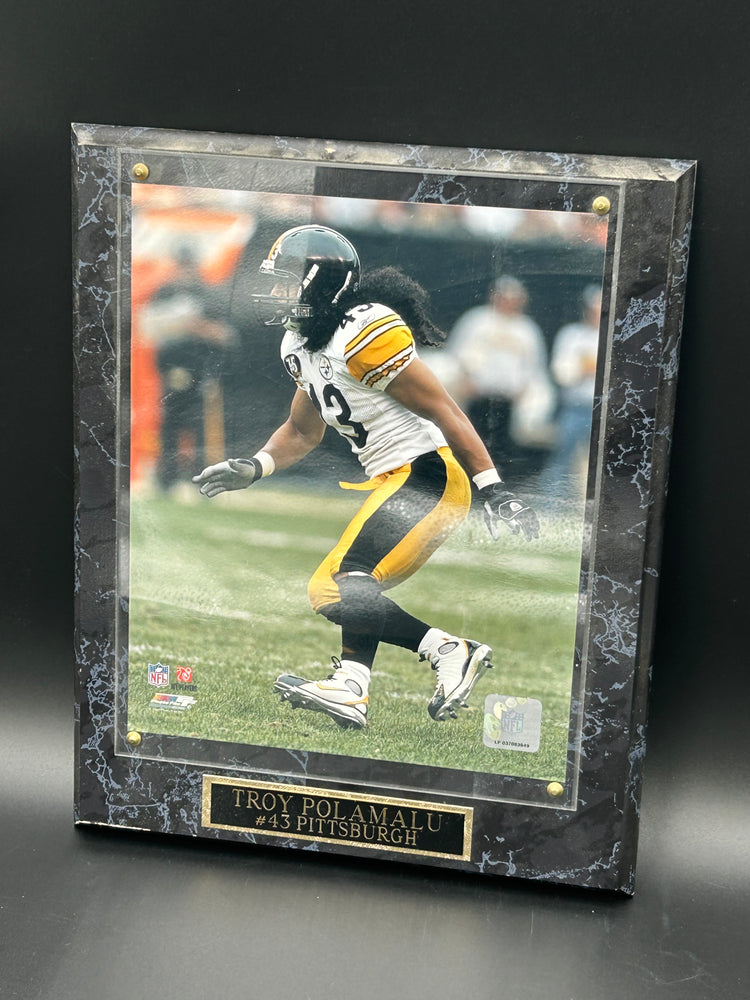 Troy Polamalu Frame