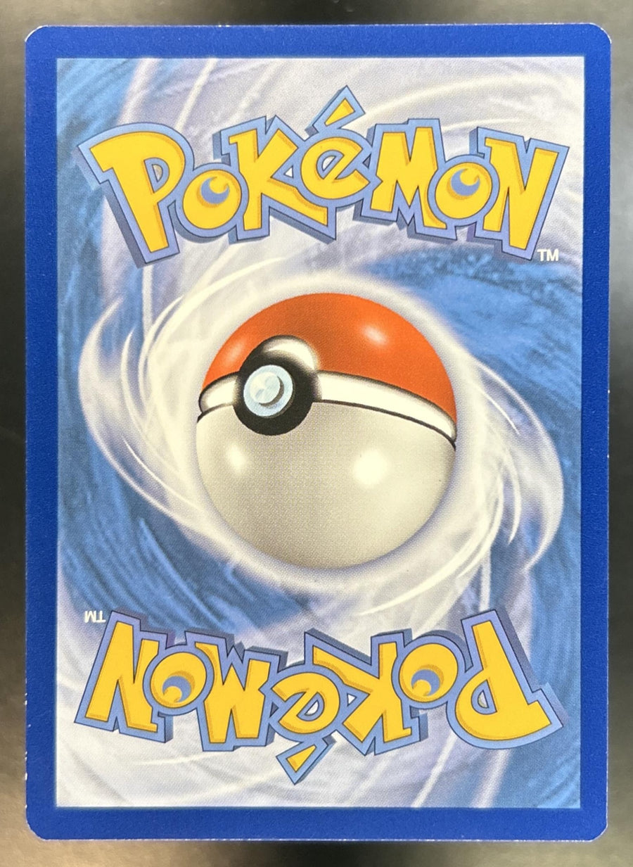 Squirtle back image