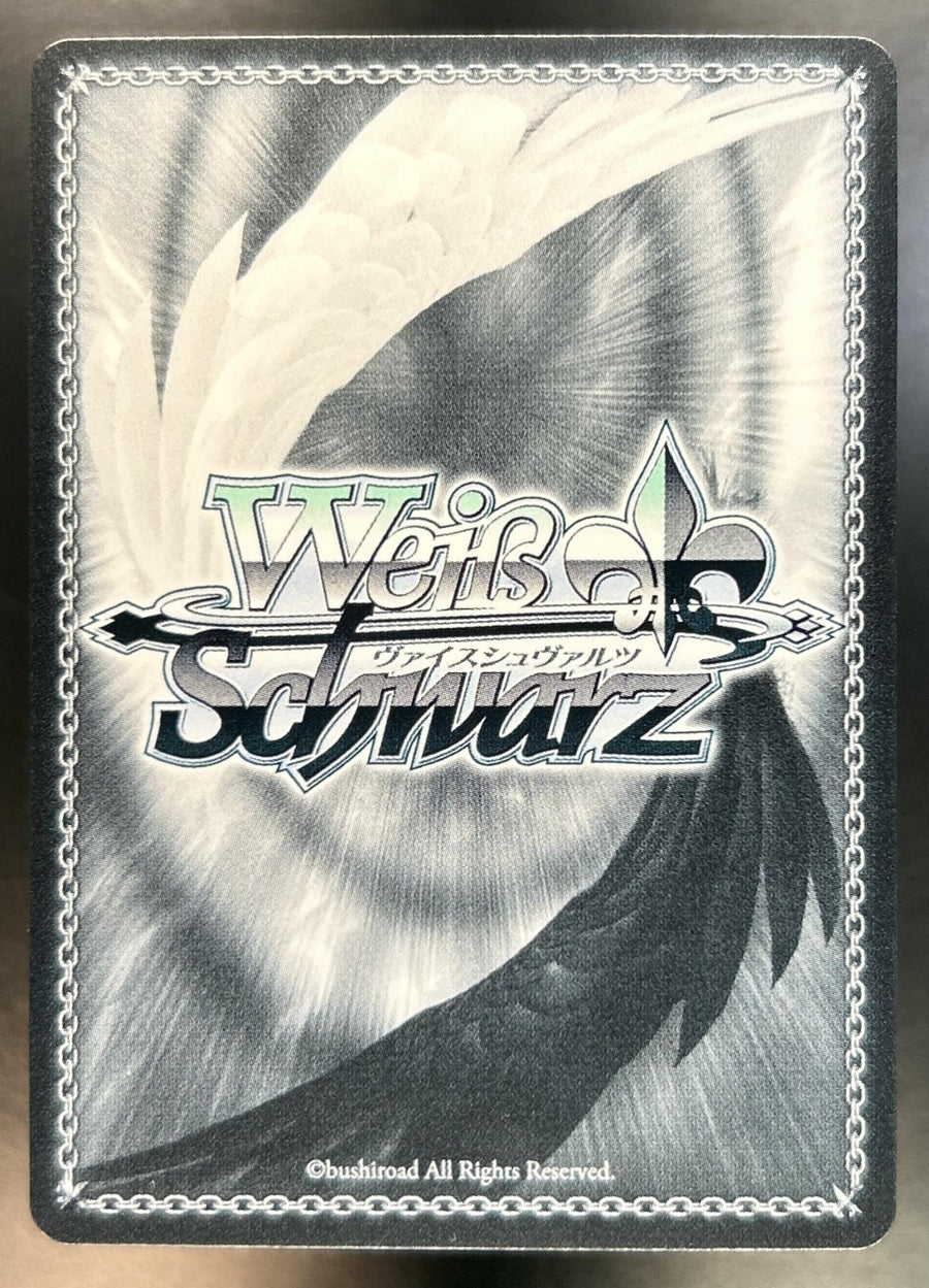 "Realization" Marian Nikke Weiss Schwarz