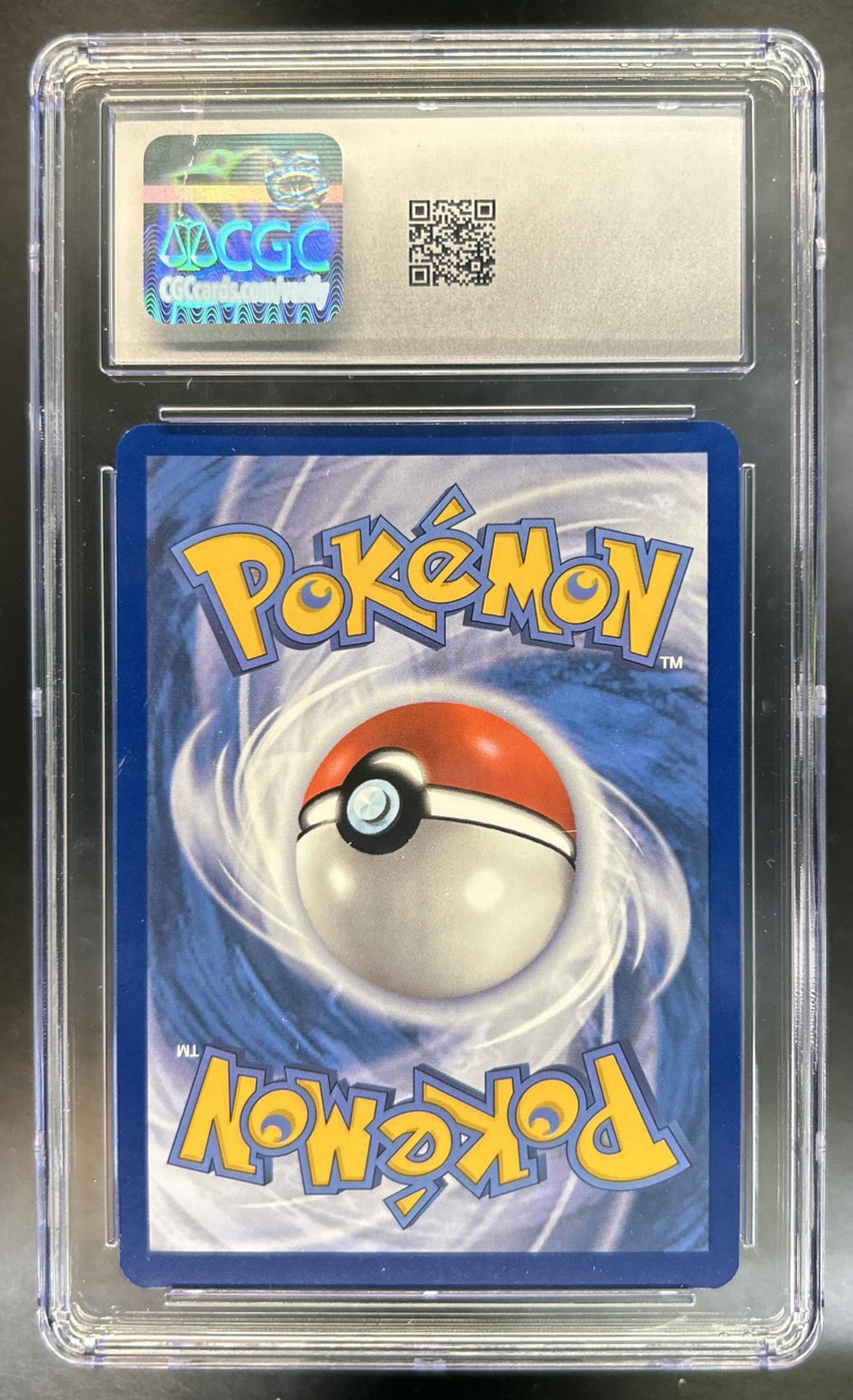 Squirtle back image