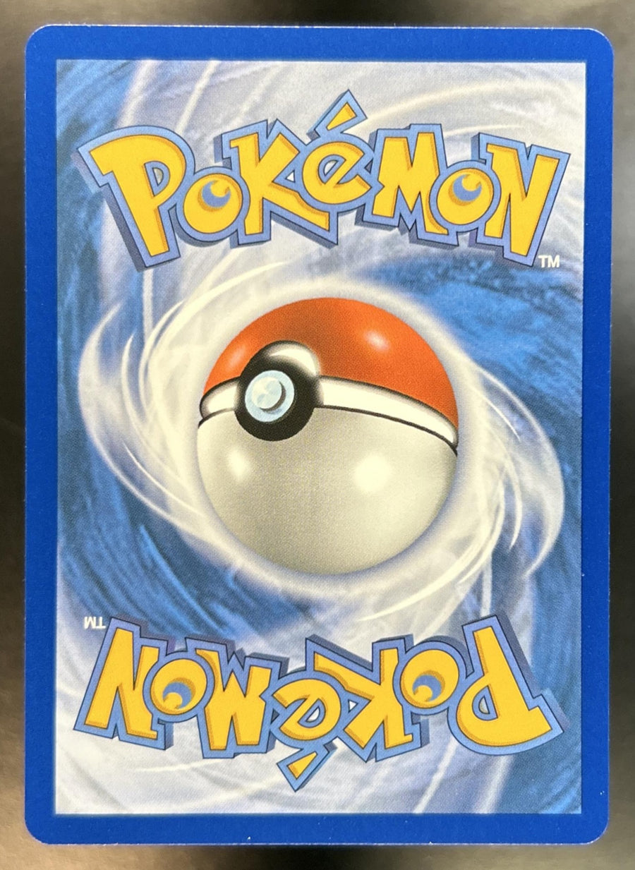 Mudkip back image