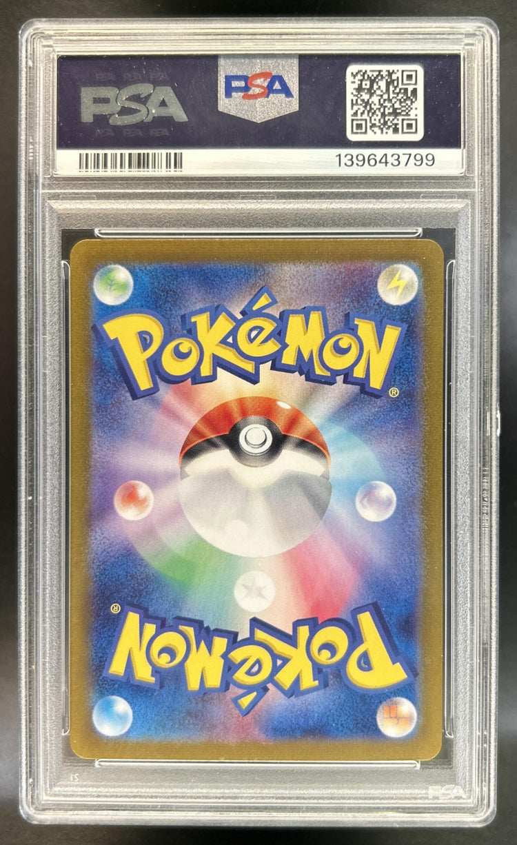 Noibat back image