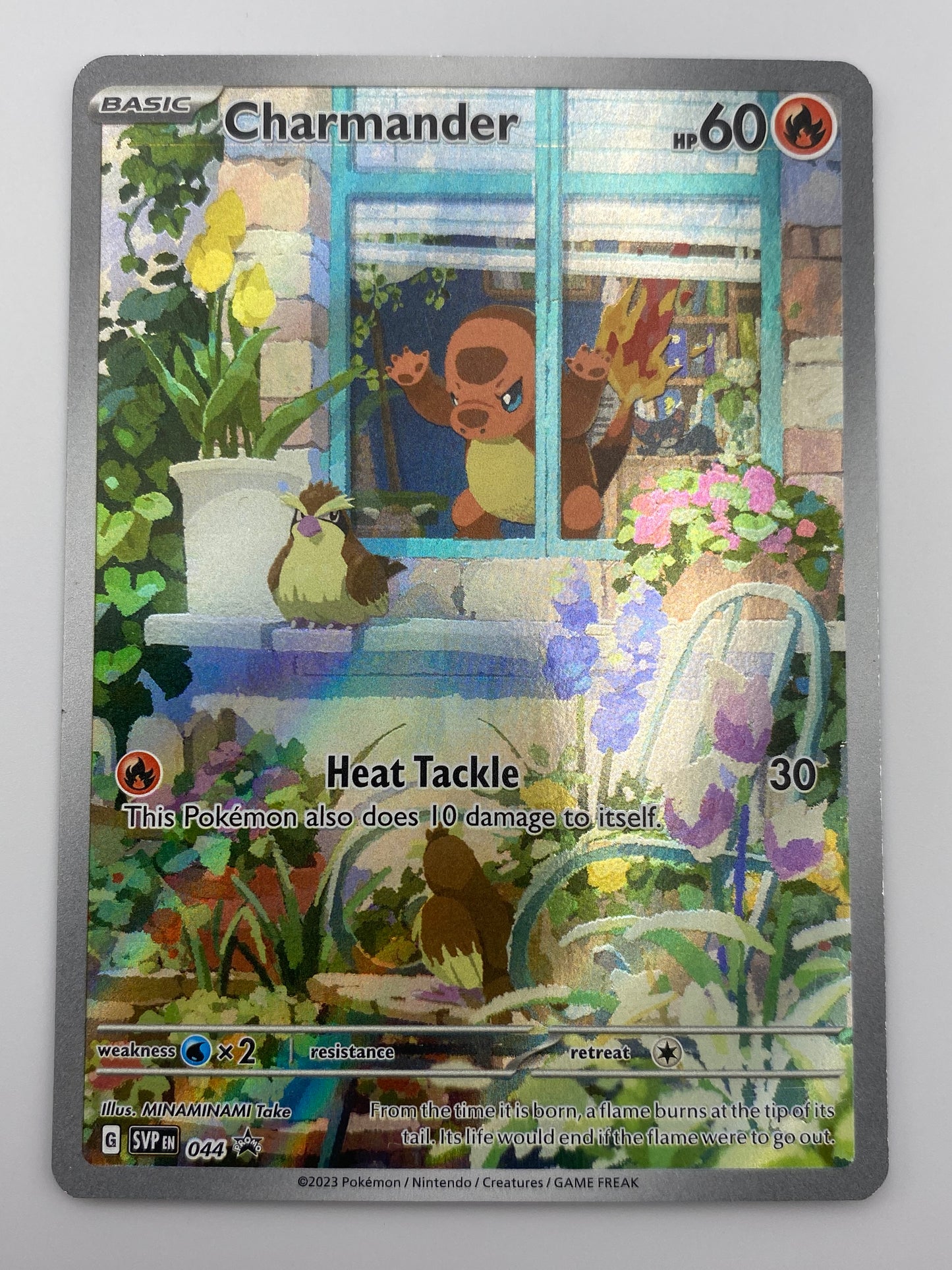 Charmander Promo LP
