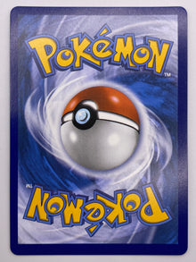 Cynthia's Garchomp Ex SIR Destined Rivals NM