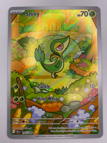 Snivy Illustration Rare Black Bolt NM