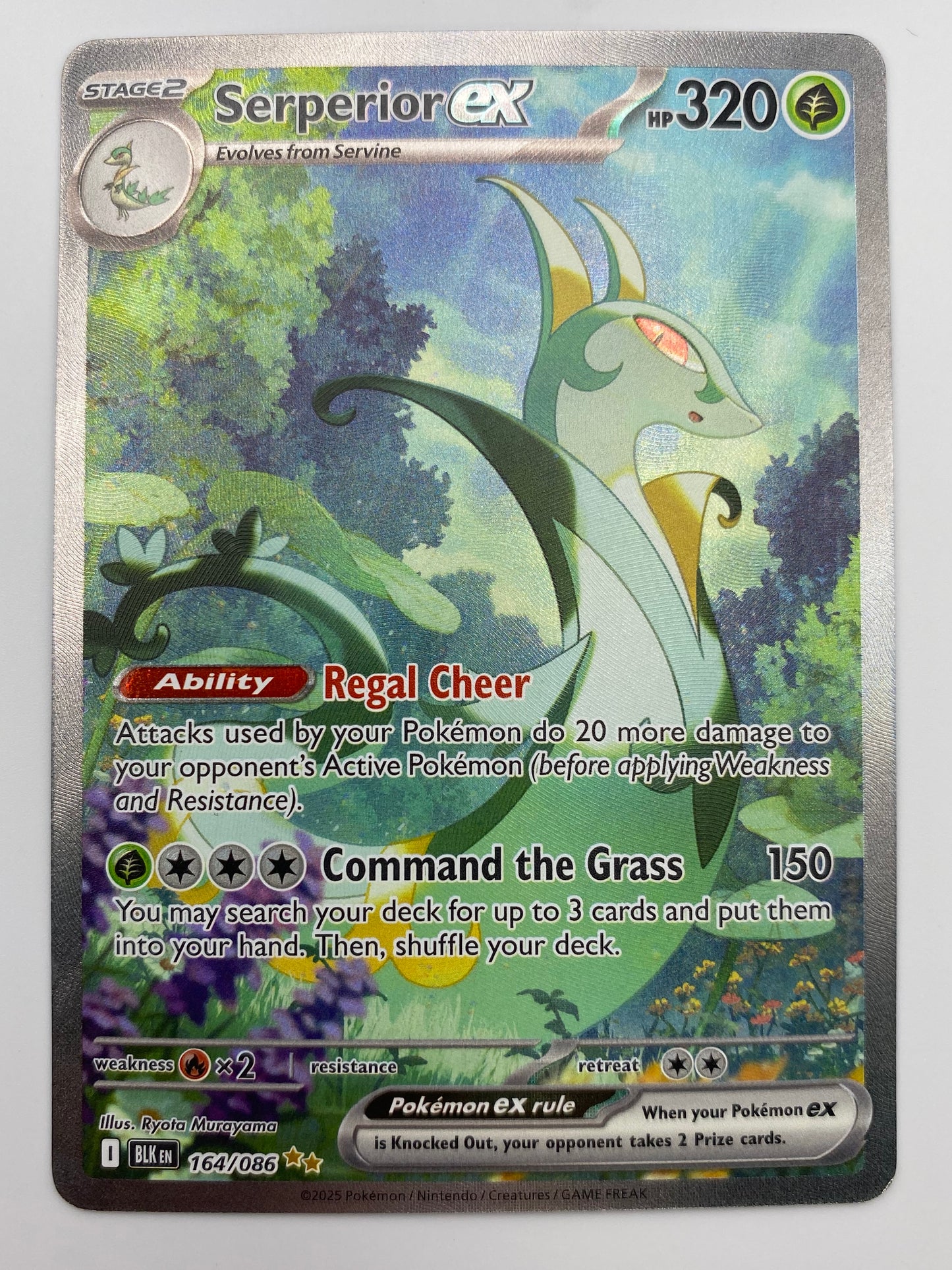 Serperior Ex SIR Black Bolt LP