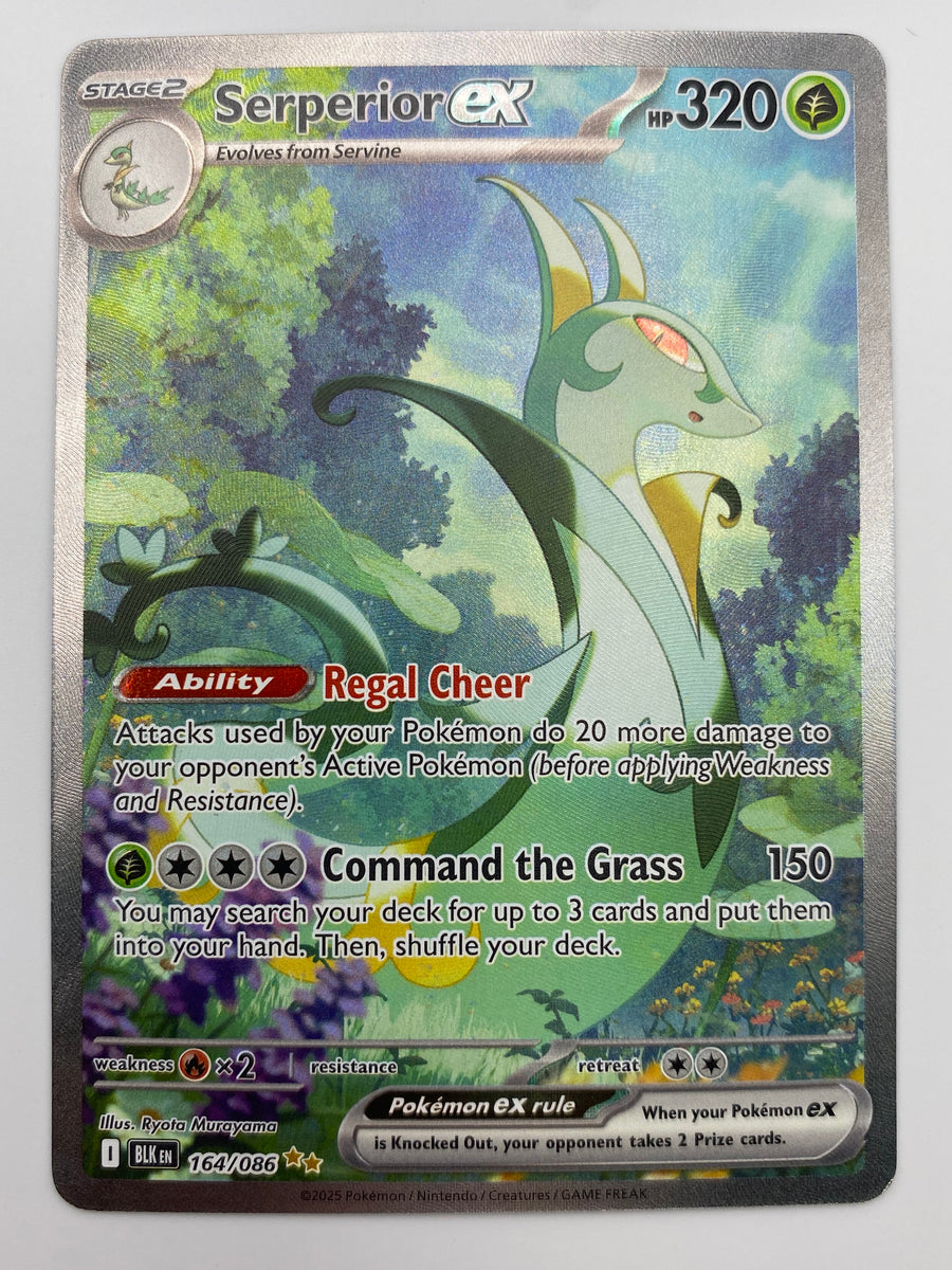 Serperior Ex SIR Black Bolt LP