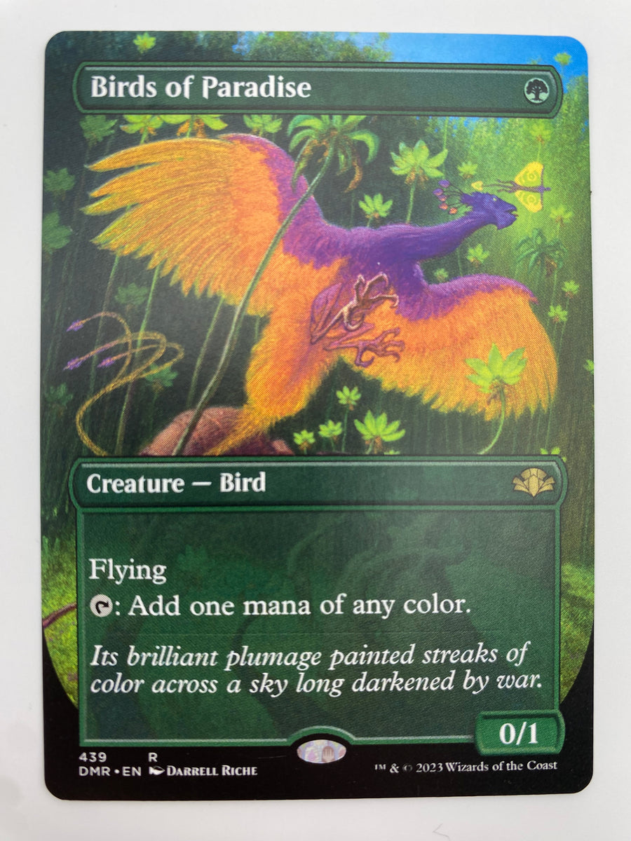 Birds of Paradise Borderless