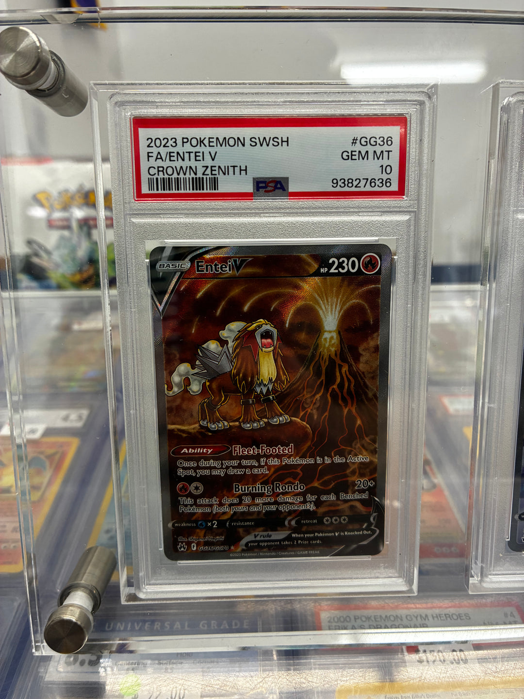 PSA 10’s Sequential Crown Zenith Dogs with display