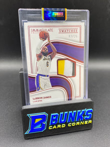 Lebron James Immaculate Collection Swatches 2/25