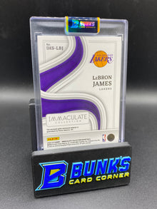 Lebron James Immaculate Collection Swatches 2/25
