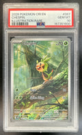 Chespin Mega Evolution Chaos Rising #087/086 Illustration Rare PSA 10