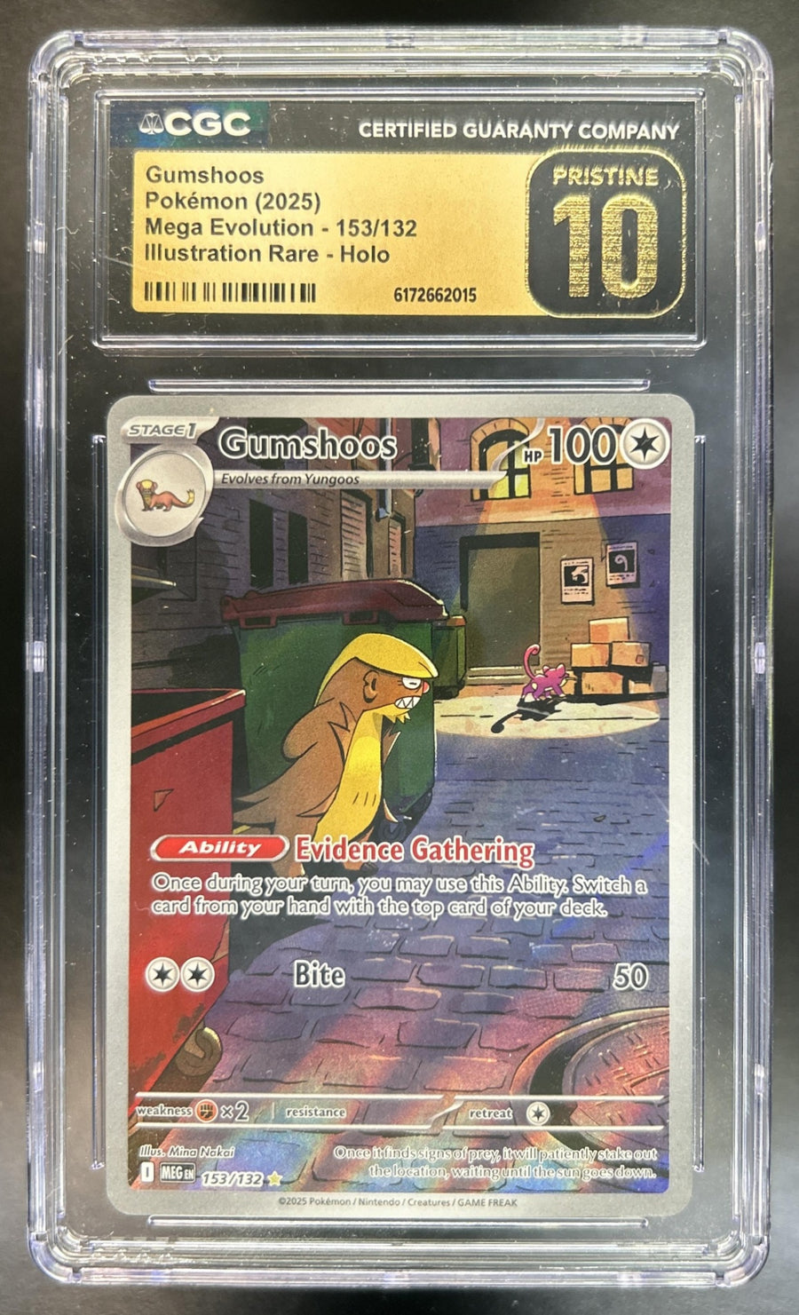 Gumshoos front image
