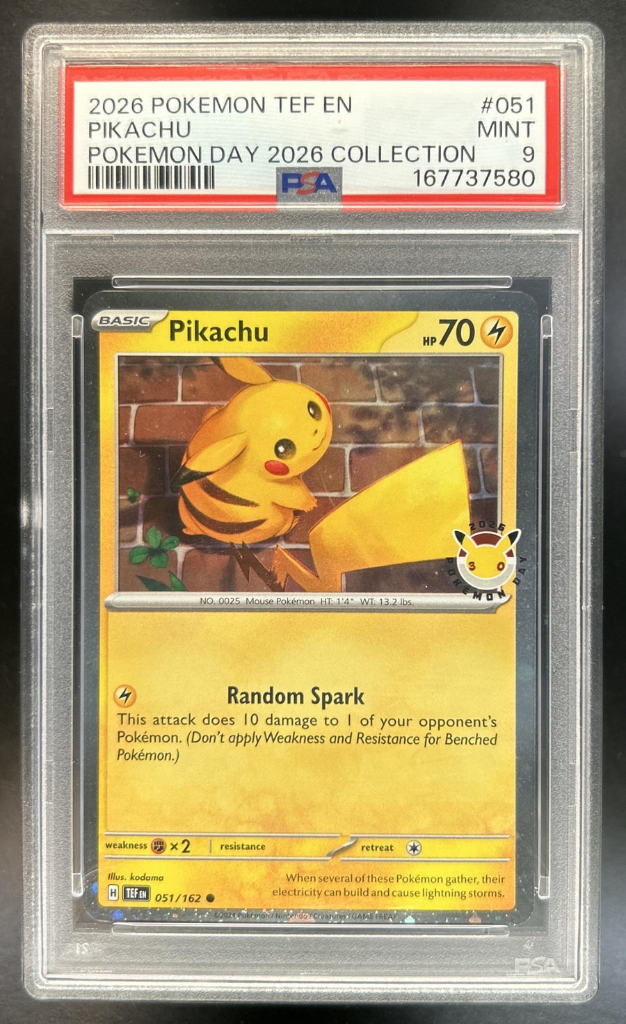 Pikachu front image