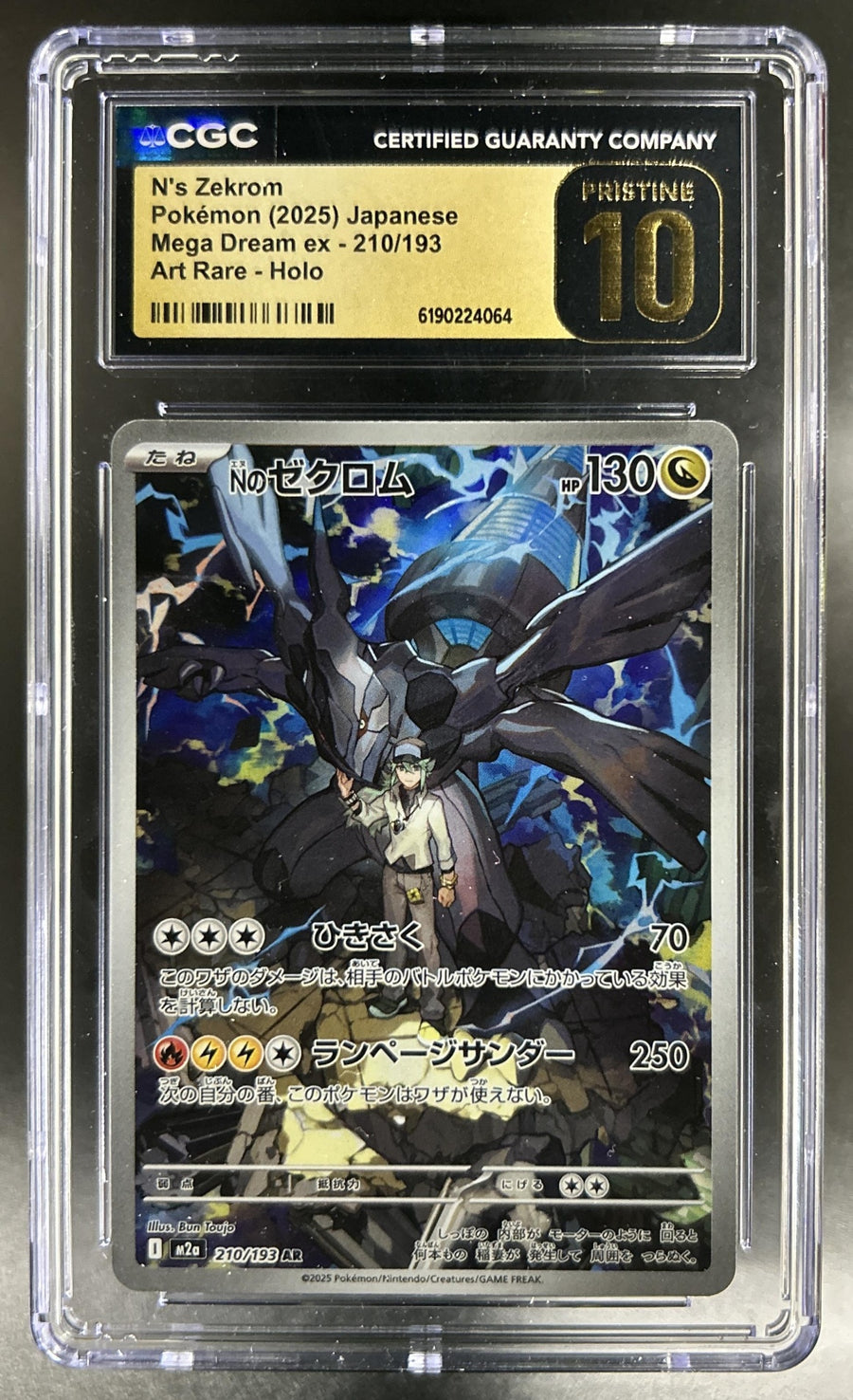 N's Zekrom front image