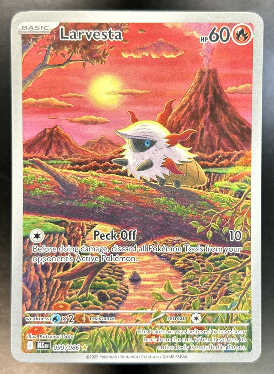 Larvesta front image
