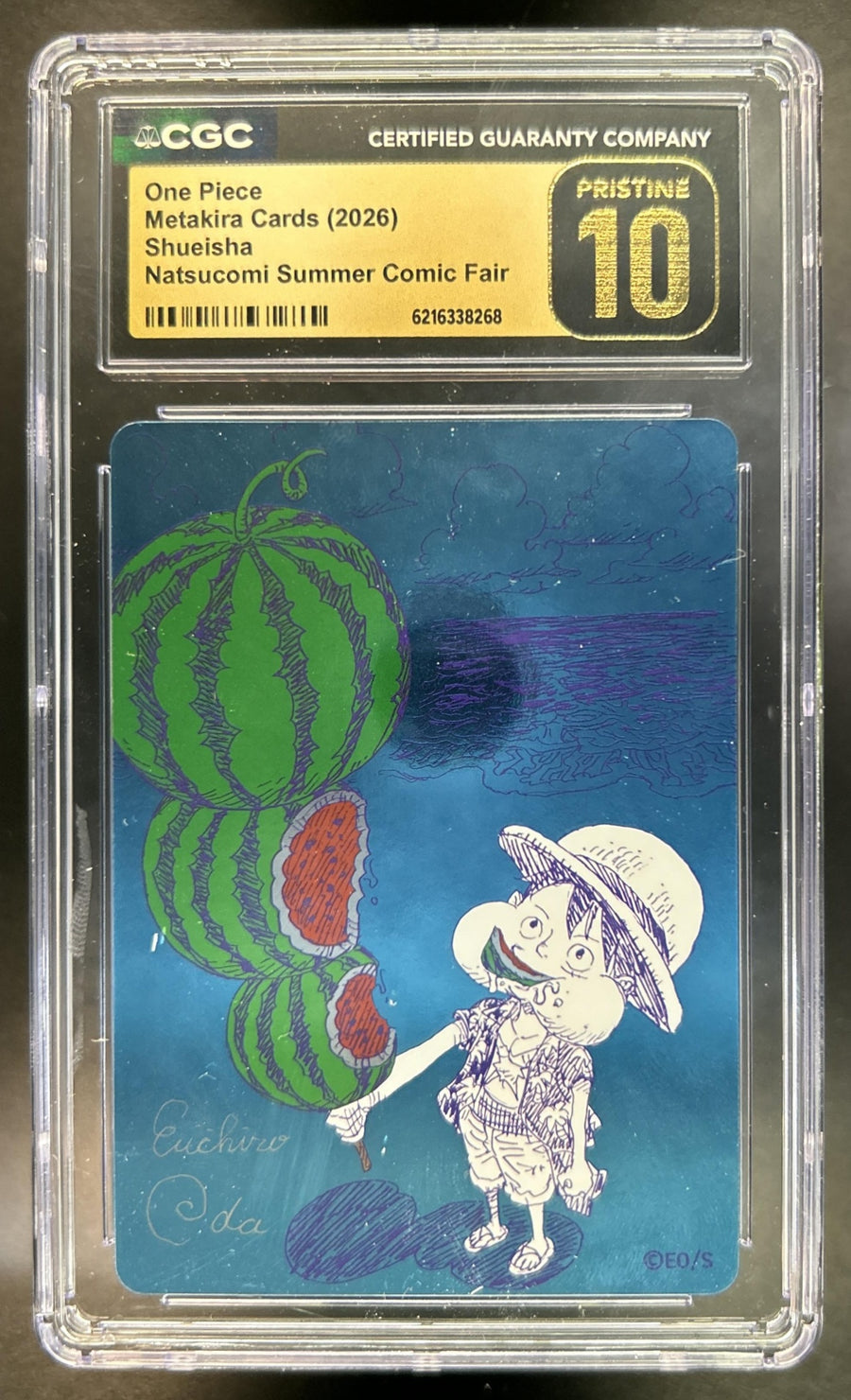 We're Going to Claim the One Piece!!! front image