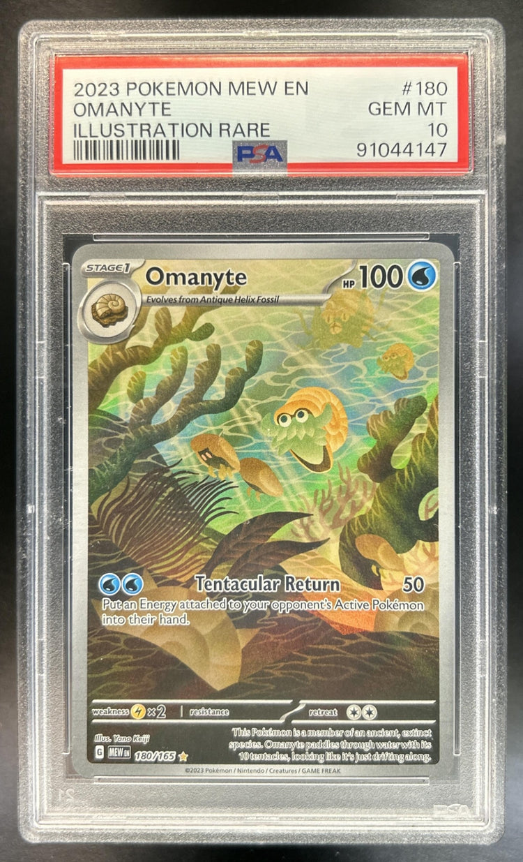 Omanyte front image