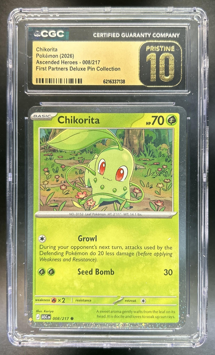Chikorita front image