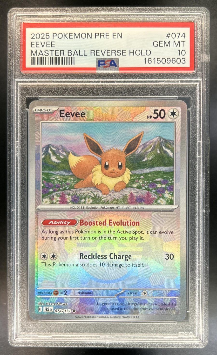 Eevee front image