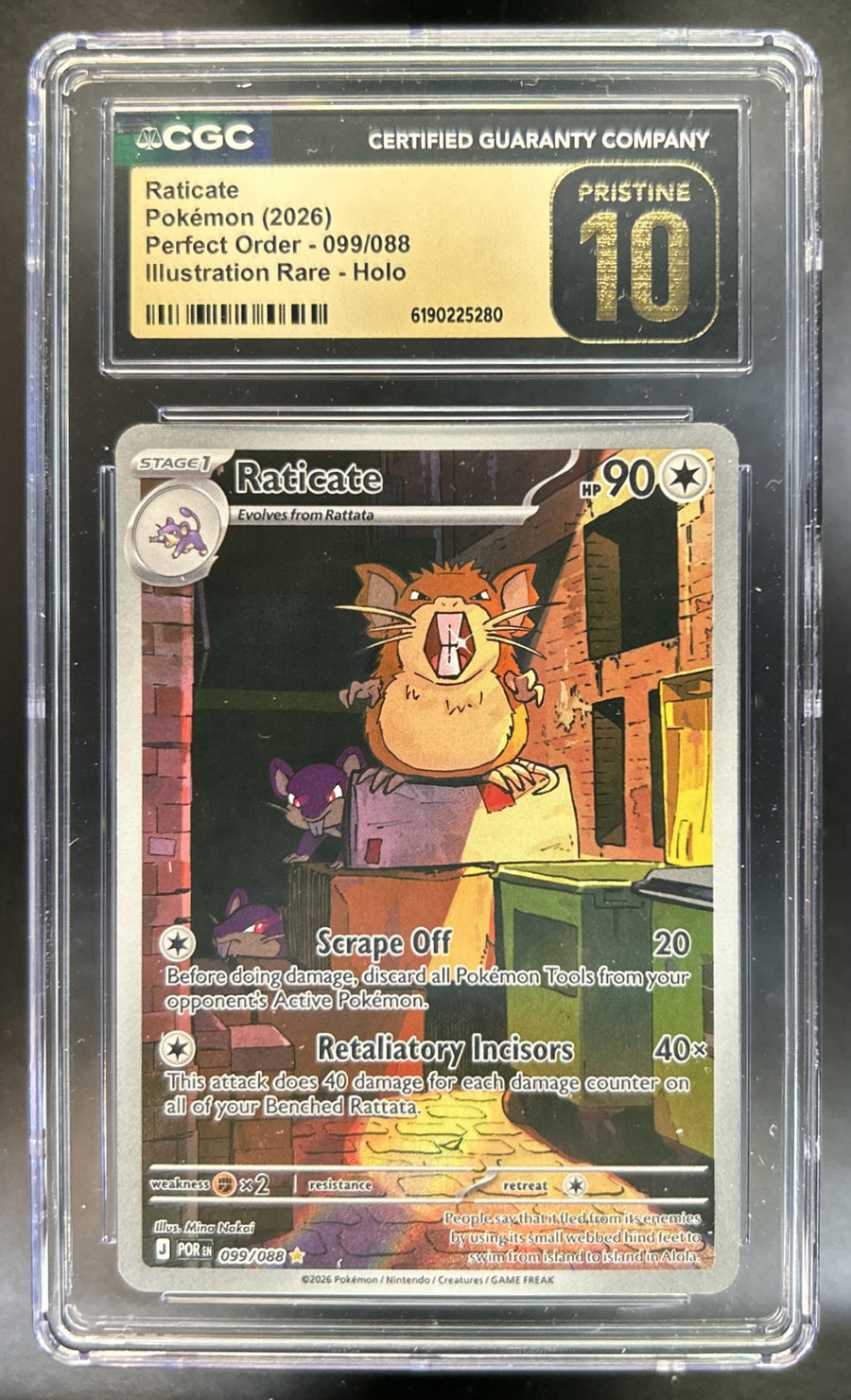 Raticate front image