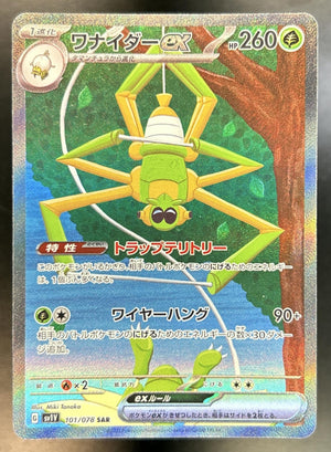 Spidops SAR JP