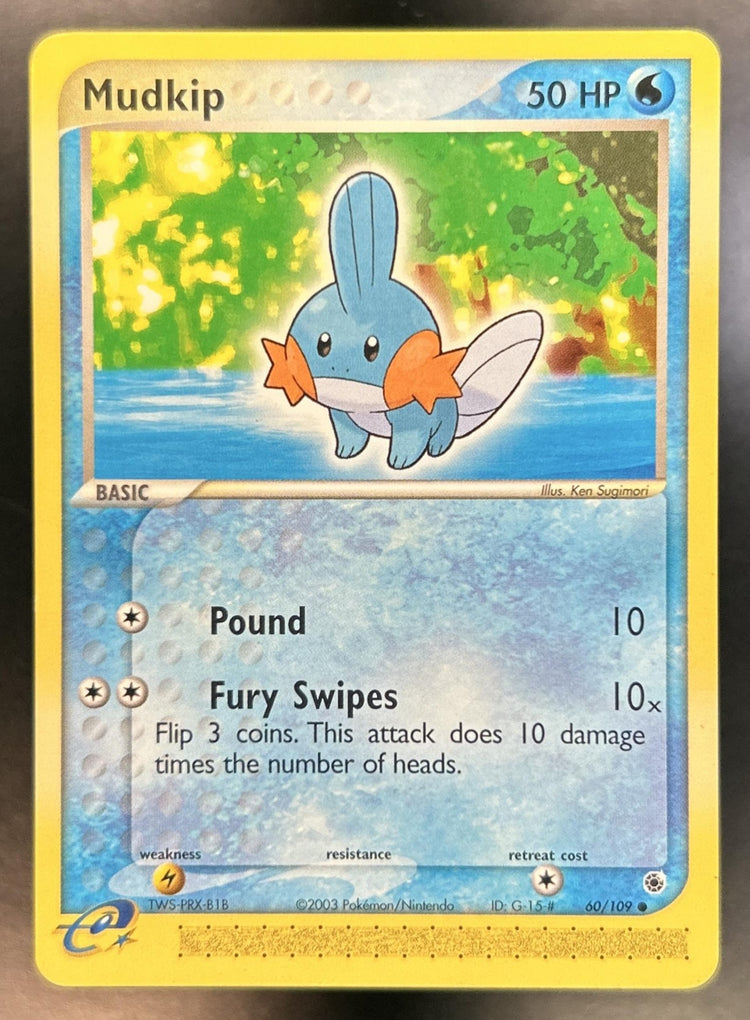Mudkip front image