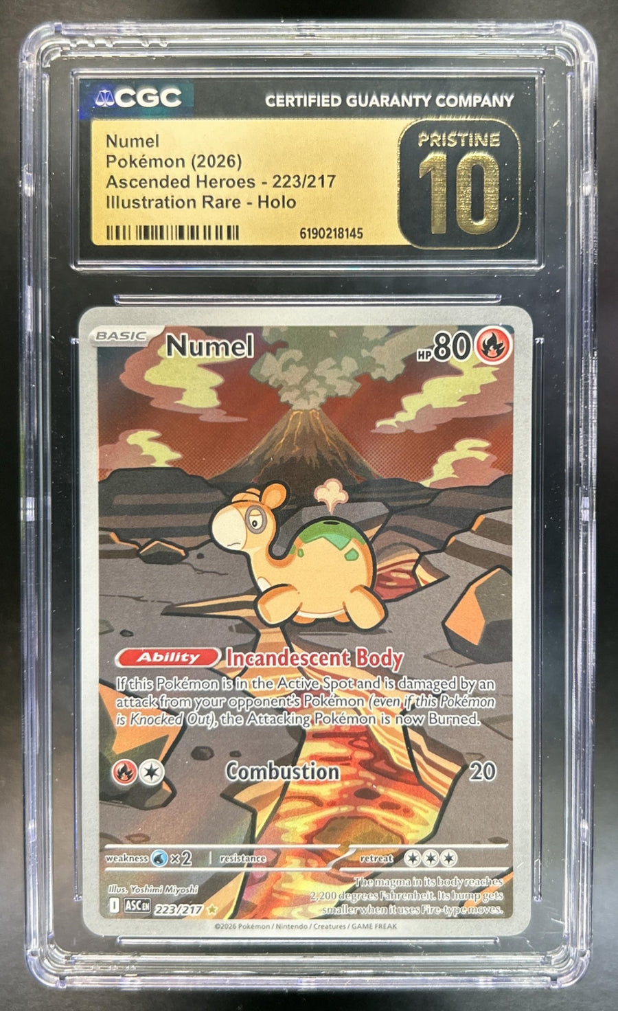 Numel Ascended Heroes #223/217 Illustration Rare CGC Pristine 10