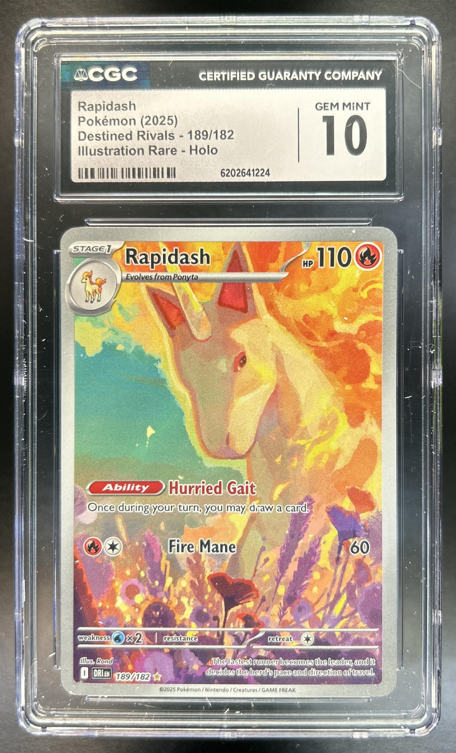 Rapidash front image
