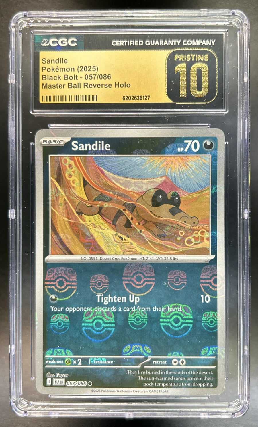 Sandile front image